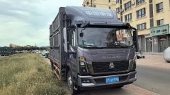 SINOTRUK HOWO Light Duty Truck Commander 185 hp 4X2 4.15 m - фото 2