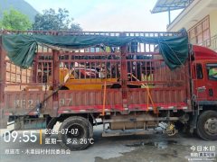 SINOTRUK HOWO Light Duty Truck Hanjiang 170 hp 4X2 5.2 m - фото 3