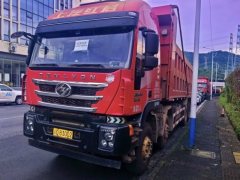 SAIC Hongyan Genlyon 560 hp 8X4 8.5 m - фото 1