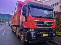 SAIC Hongyan Genlyon 560 hp 8X4 8.5 m - фото 2