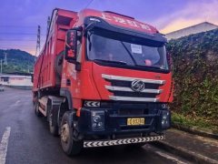 SAIC Hongyan Genlyon 560 hp 8X4 8.5 m - фото 3