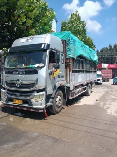 Foton Ollin Hornet 220 hp 4X2 6.1 m - фото 1