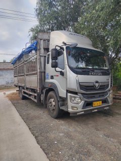 Foton Ollin Hornet 220 hp 4X2 6.8 m - фото 2