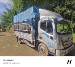 Foton Aumark S3 143 hp 4X2 4.18 m - фото 4