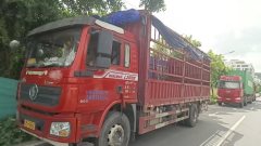 Shacman Delong L3000 220 hp 4X2 6.75 m - фото 1