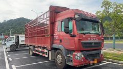 Sinotruk HOWO TX7 240 hp 4X2 6.75 m - фото 2