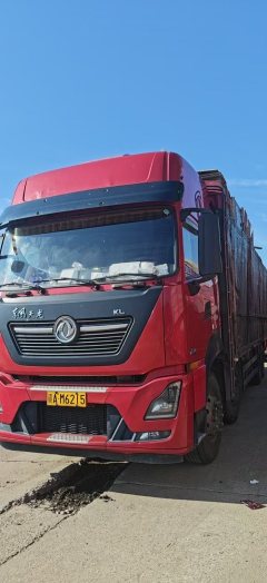 Dongfeng Tianlong KL 465 hp 8X4 9.4 m - фото 1